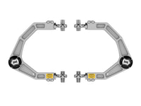 Thumbnail for Photo - Primary