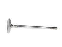 Thumbnail for Manley Ford 4.6L DOHC (4 Valve) Triple Groove 37mm Race Master Intake Valves - Single