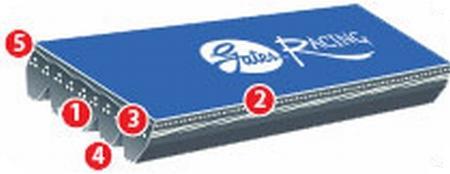 Gates 1992-1987 Ford Taurus V6 3.0L Racing Peformance W.P. & Alt. Belt