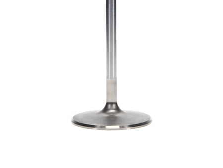 Manley Chevrolet Big Block Intake Valve Kit - 2.300in Head Dia. 5.244in O/A Length, 0.3110in Stem