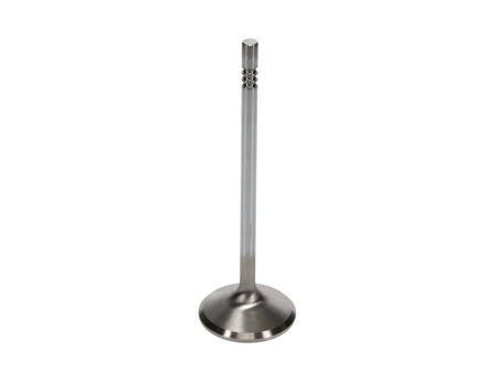 Manley Ford 4.6L Modular V8 Exhaust Valve Kit - 38.50mm Head Dia. 4.585in O/A Length, 0.2345in Stem