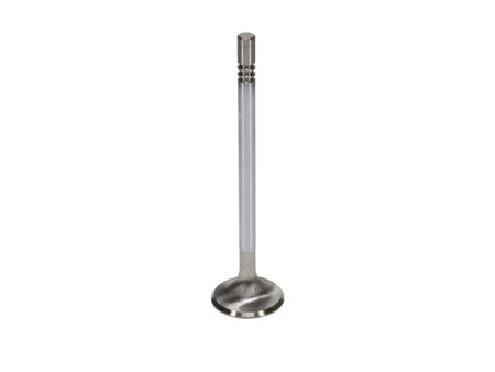 Manley Ford GT350 Voodoo 5.2L Race Master Series Exhaust Valve - 1.280in Dia