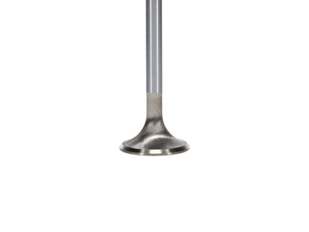 Manley Ford Modular Coyote 5.0L Gen III Race Master Series Intake Valve - 1.485in Dia