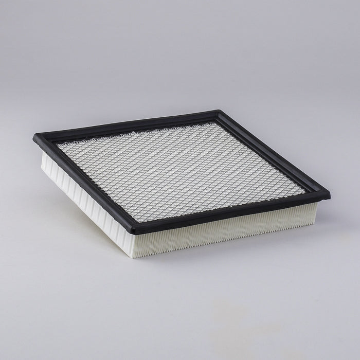 Donaldson P622149 Air Filter
