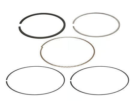 Wiseco 81mm Ring Set 1.0 x 1.0 x 2mm - 1 Cylinder