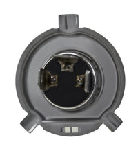 Thumbnail for Hella Optilux H4 12V / 60/55W XY Xenon Yellow Bulb