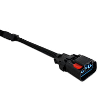 Thumbnail for Mishimoto 2003-2004 Ford 6.0L Powerstroke Glow Plug Harness