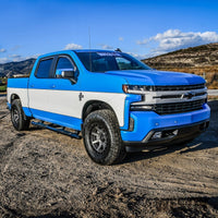 Thumbnail for Westin 2019 Chevrolet Silverado/Sierra 1500 Crew Cab Non LD PRO TRAXX 5 Oval Nerf Step Bars - Black