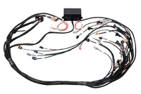 Thumbnail for Haltech GM GEN IV LSX (LS2/LS3 Non DBW) Elite 2000/2500 Terminated Harness w/EV1 Inj Connectors
