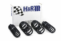 Thumbnail for H&R 96-01 Audi A4 Quattro (AWD) B5 Sport Spring