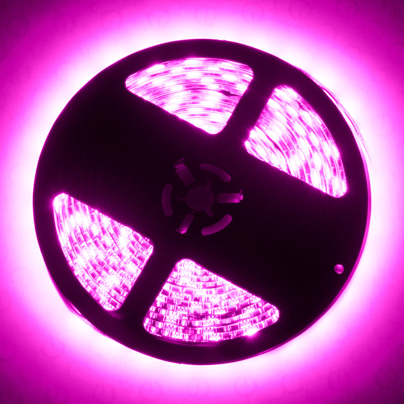 Oracle Exterior Black Flex LED Spool - Pink