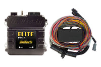 Thumbnail for Haltech Elite 750 Premium Universal Wire-In Harness ECU Kit