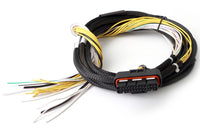 Thumbnail for Haltech HPI8 High Power Igniter 2m Flying Lead (Loom Only)