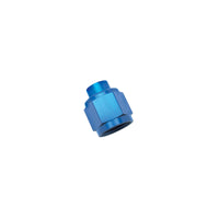 Thumbnail for Russell Performance -6 AN Flare Cap (Blue)