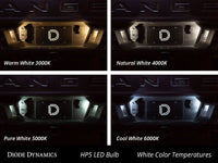 Thumbnail for Diode Dynamics 194 LED Bulb HP5 LED - Blue Set of 12