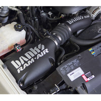 Thumbnail for Banks Power 99-08 Chev/GMC 4.8-6.0L 1500 Ram-Air Intake System - Dry Filter