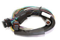 Thumbnail for Haltech Elite 2500 8ft Basic Universal Wire-In Harness (Excl Relays or Fuses)