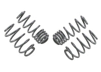 Thumbnail for Whiteline 04-08 VW Golf Mk5 2.0 GTI Performance Lowering Springs