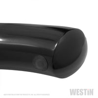 Thumbnail for Westin 19-20 Dodge/Ram 1500 Crew Cab PRO TRAXX 4 Oval Nerf Step Bars - SS