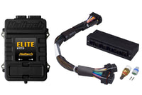 Thumbnail for Haltech Elite 1500 Adaptor Harness ECU Kit