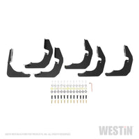 Thumbnail for Westin 2019 Ram 1500 Crew Cab (Excl. 1500 Classic) PRO TRAXX 4 Oval Nerf Step Bars - SS