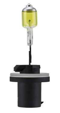 Thumbnail for Hella Optilux 893 12V 37.5W Extreme Yellow Bulbs (Pair)