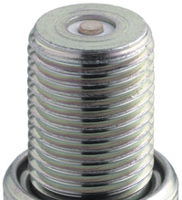 Thumbnail for NGK Racing Spark Plug Box of 4 (R6601-10)