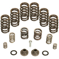 Thumbnail for BD Diesel Governor Spring Kit 4000rpm - 1994-1998 Dodge 12-valve/P7100 Pump