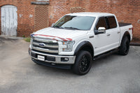 Thumbnail for Stampede 15-20 Ford F-150 (Excl. Raptor) Vigilante Premium Hood Protector - Flag