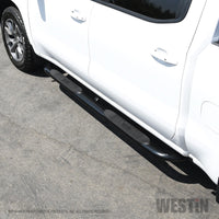 Thumbnail for Westin 2019 Chevrolet Silverado/Sierra 1500 Crew Cab Platinum 4 Oval Nerf Step Bars - Black