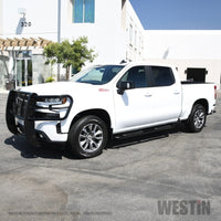 Thumbnail for Westin 2019 Chevrolet Silverado/Sierra 1500 Crew Cab Platinum 4 Oval Nerf Step Bars - Black