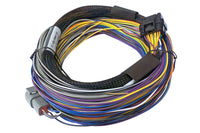 Thumbnail for Haltech Elite 750 8ft Basic Universal Wire-In Harness