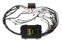 Thumbnail for Haltech Elite 2500 Terminated Harness ECU Kit w/ EV1 Injector
