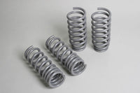 Thumbnail for Progress Tech 04-10 Dodge Chrysler 300C/2009+ Dodge Challenger V8 Sport Springs