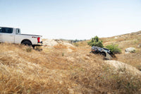 Thumbnail for DV8 Offroad Elite Series D-Ring Shackles - Pair (Black)