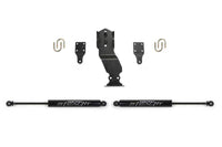 Thumbnail for Fabtech 17-20 Ford Superduty 4WD Stealth Dual Steering Stabilizer Kit