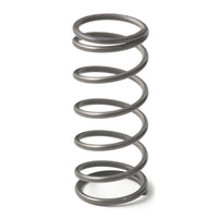 Thumbnail for GFB EX50 9psi Wastegate Spring (Middle)