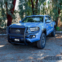 Thumbnail for Westin 16-21 Toyota Tacoma Sportsman X Grille Guard - Tex. Blk
