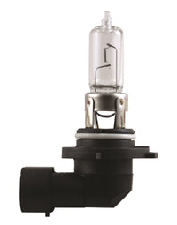 Thumbnail for Hella Bulb 9005 12V 65W P20D T4 +50