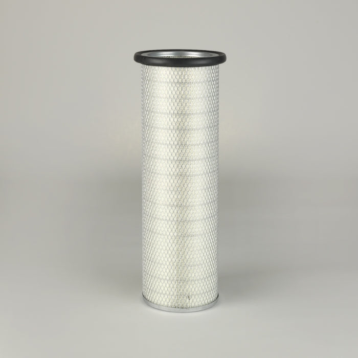 Donaldson P118216 Air Filter