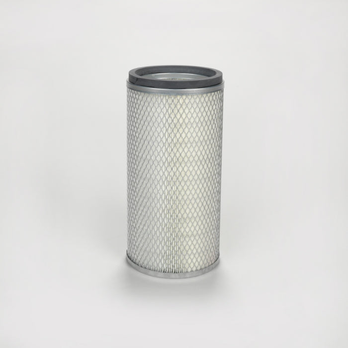 Donaldson P119371 Air Filter