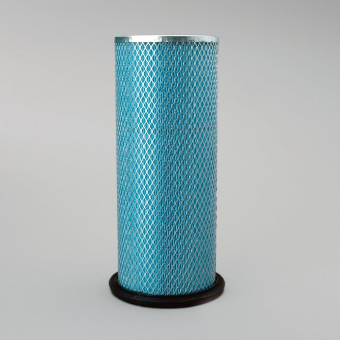 Donaldson P119373 Air Filter