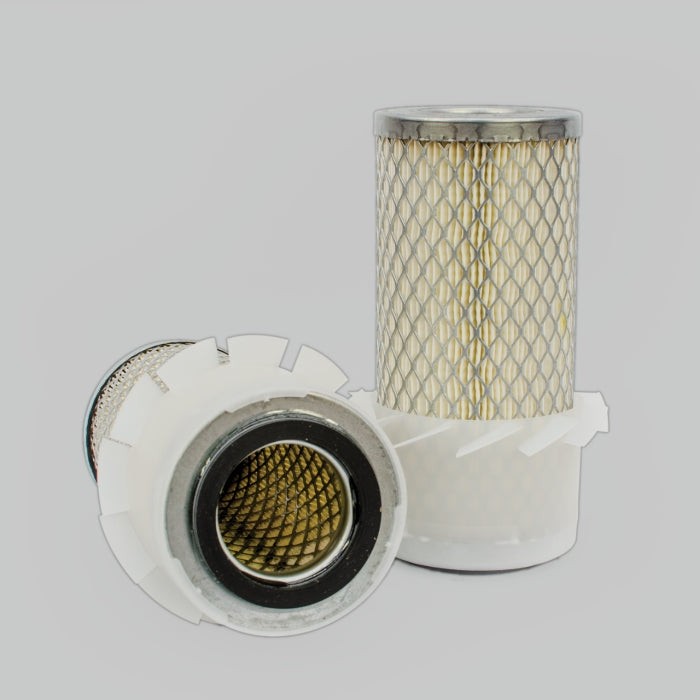Donaldson P148113 Air Filter