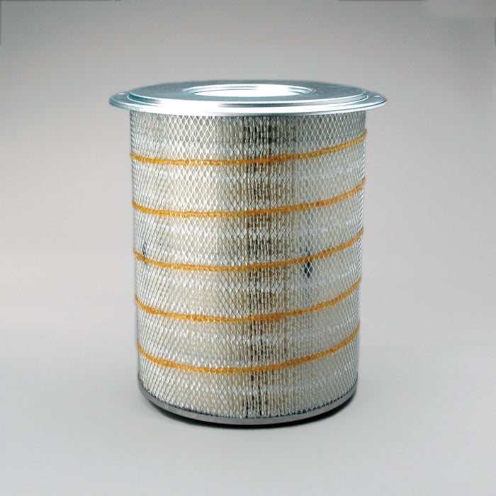 Donaldson P181099 Air Filter