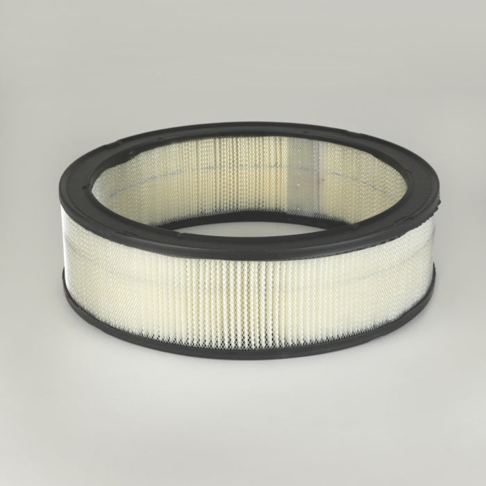 Donaldson P524373 Air Filter