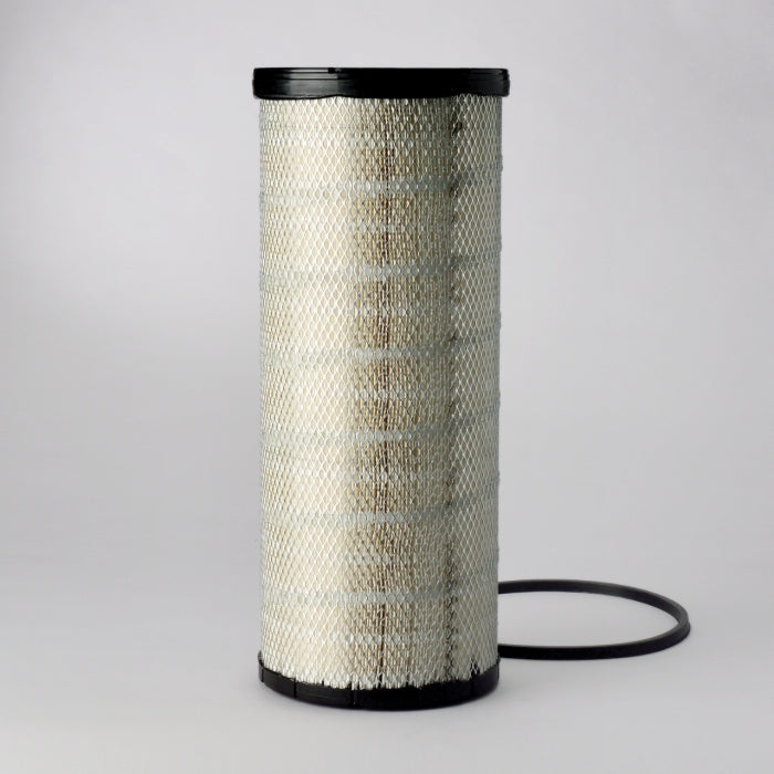 Donaldson P539765 Radialseal Air Filter