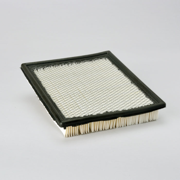 Donaldson P606063 Air Filter