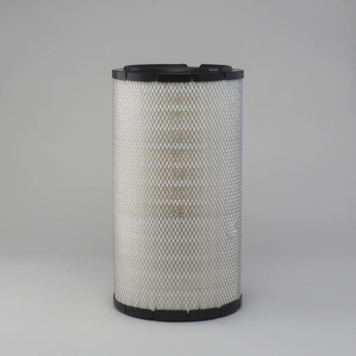 Donaldson P777409 Air Filter RS