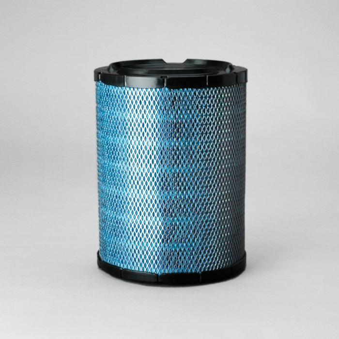 Donaldson P812175 Air Filter