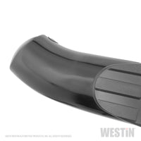 Thumbnail for Westin 2015-2018 Ford F-150 SuperCrew PRO TRAXX 4 Oval Nerf Step Bars - Black